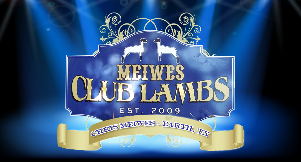 Meiwes Club Lambs
