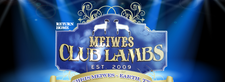 Meiwes Club Lambs