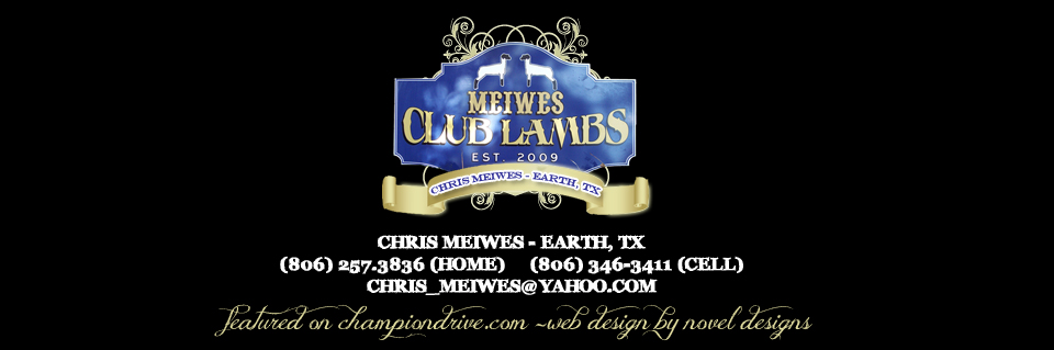 Meiwes Club Lambs